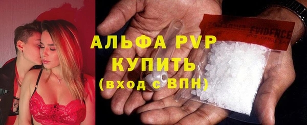 крисы Алзамай