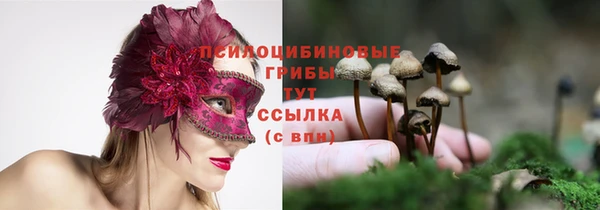 соль курить ск Алексин