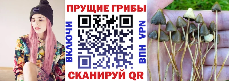 Псилоцибиновые грибы мухоморы  как найти закладки  Боровск 
